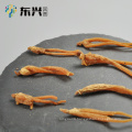 Traditional Chinese Medicinal Herb China Dried Red Ginseng Root